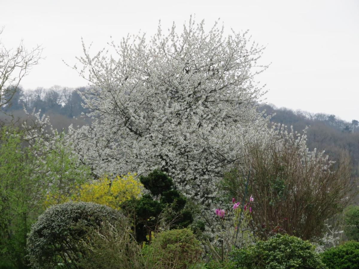 Ecrin De Verdure Sainte-Suzanne  المظهر الخارجي الصورة