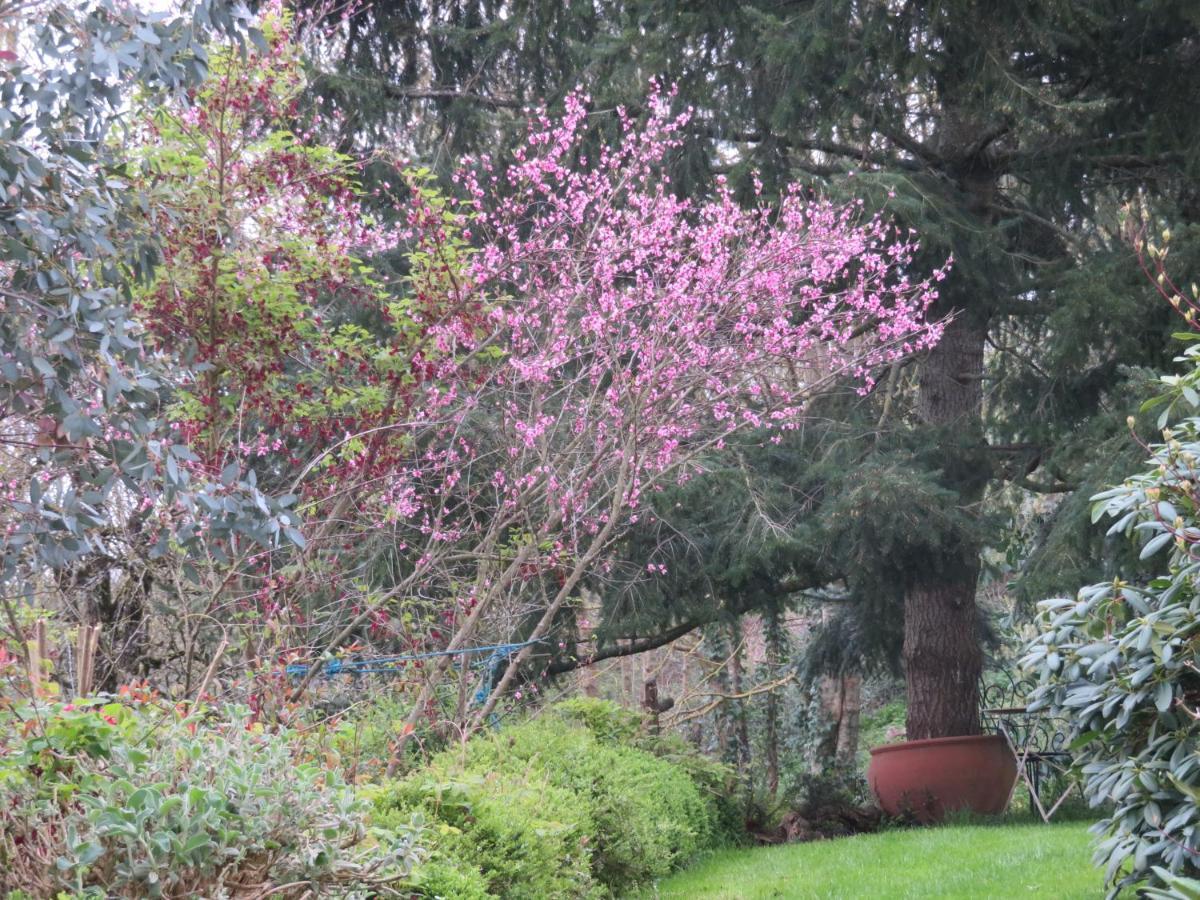 Ecrin De Verdure Sainte-Suzanne  المظهر الخارجي الصورة