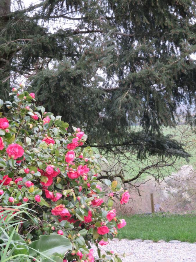 Ecrin De Verdure Sainte-Suzanne  المظهر الخارجي الصورة